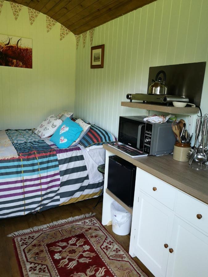 Shepherds Hut Dolly Wagon Keswick  Exterior foto